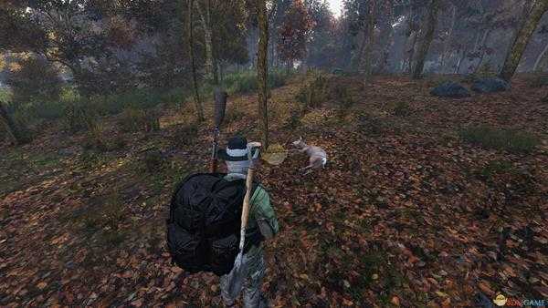 《DayZ》木棍获得方法分享