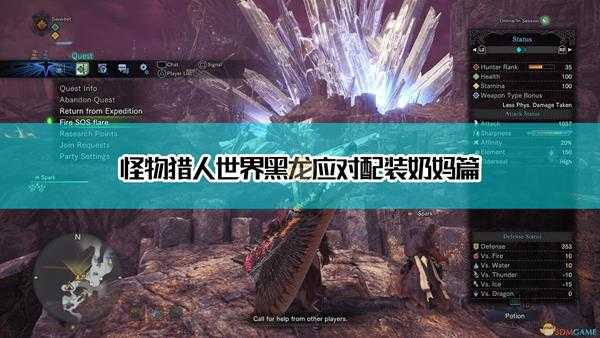 《怪物猎人:世界》讨伐黑龙奶妈配装方案分享