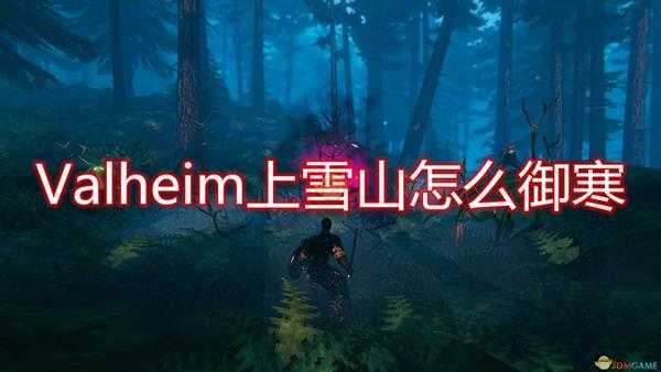 《Valheim:英灵神殿》雪山御寒方法介绍