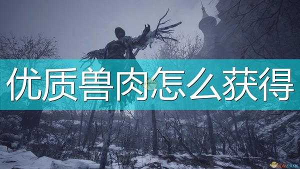 《生化危机8:村庄》特级兽肉获得方法介绍