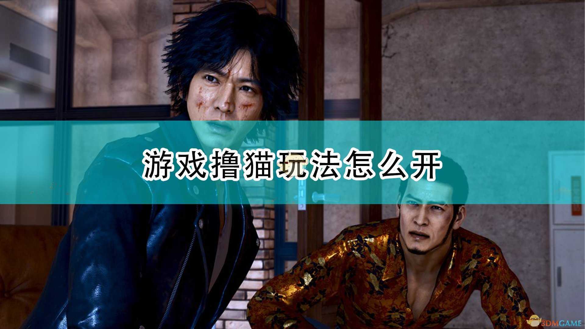 《审判之逝:湮灭的记忆》撸猫玩法开启方法介绍