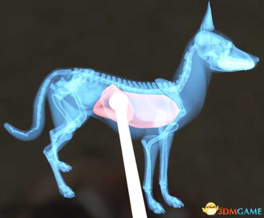 猎人荒野的呼唤个动物秒杀位置介绍