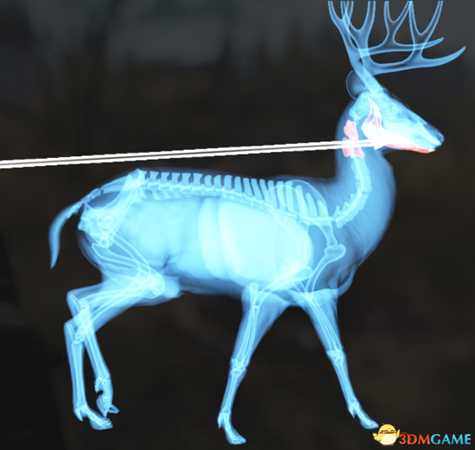 猎人荒野的呼唤个动物秒杀位置介绍