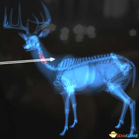 猎人荒野的呼唤个动物秒杀位置介绍