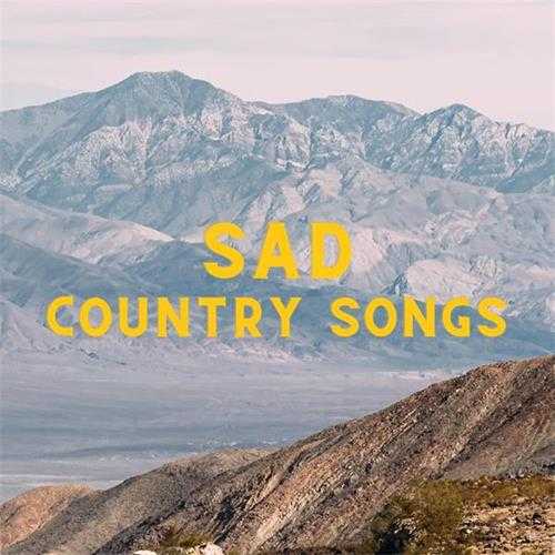 【欧美乡村蓝调】VA-2023-SadCountrySongs(FLAC)