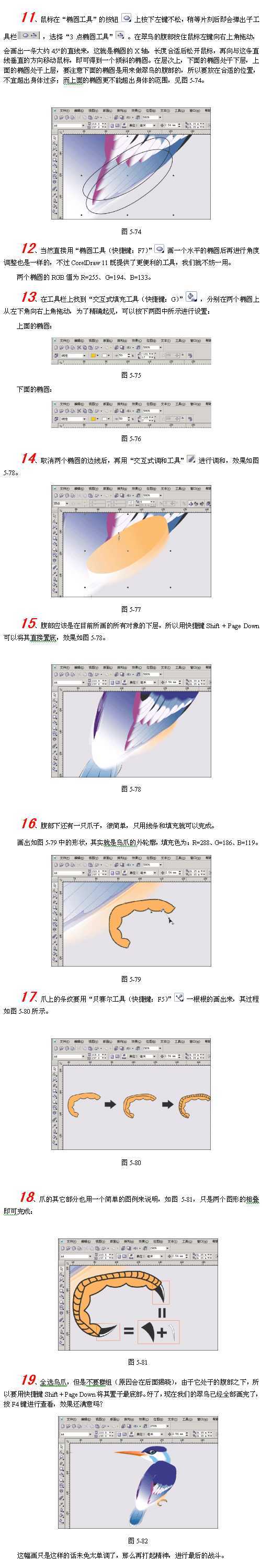 CorelDraw(CDR)模仿绘制出逼真的翠鸟实例教程