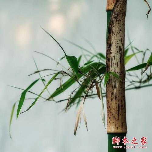 我所理解的摄影美学:表达出内心最重要