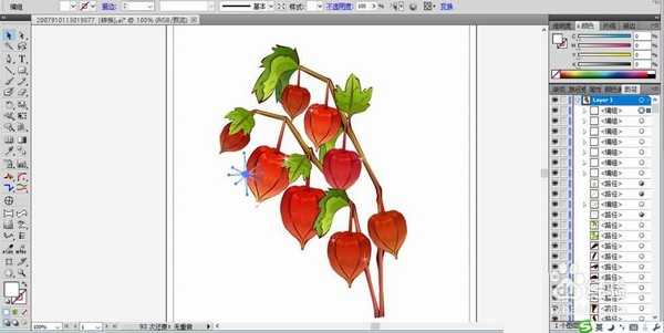 ai怎么画灯笼果? ai绘制姑娘果的教程