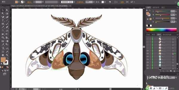 ai怎么手绘飞蛾矢量图? ai画飞蛾的教程